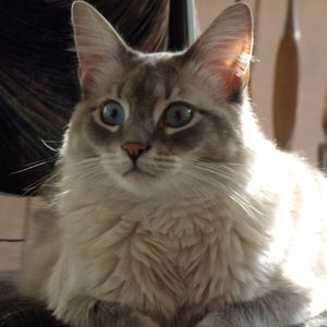 Meet your Posher, Sally